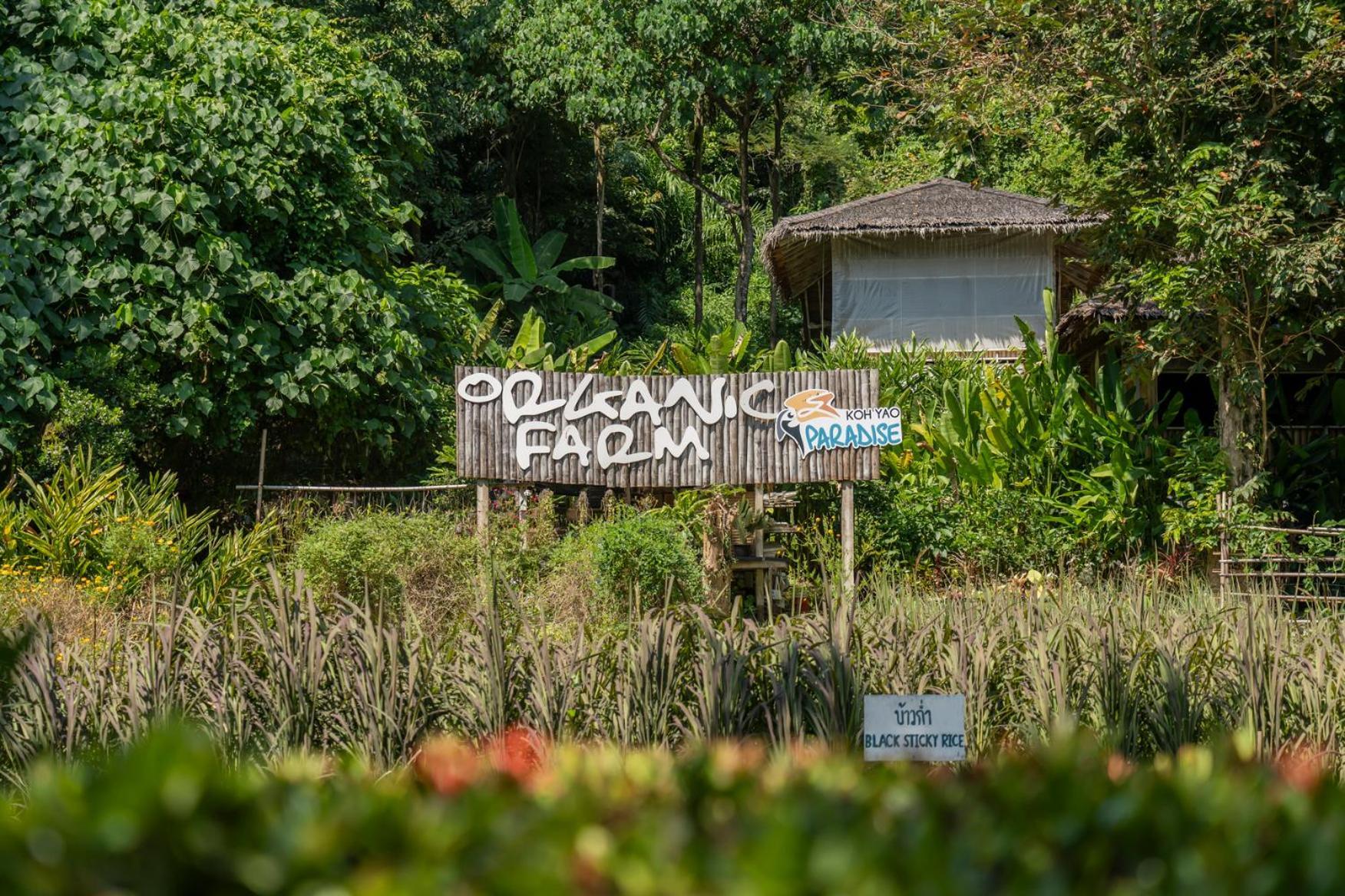 Paradise Kohyao (Adults Only) Ko Yao Noi Dış mekan fotoğraf